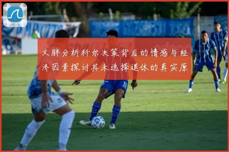 文胖分析科尔决策背后的情感与经济因素探讨其未选择退休的真实原因