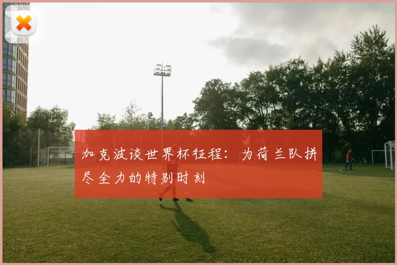 加克波谈世界杯征程：为荷兰队拼尽全力的特别时刻